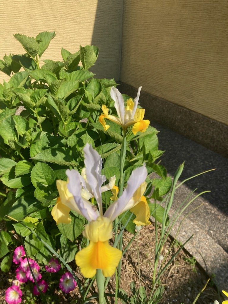 0514.2025.2.jpg